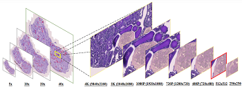 Article cover image Image